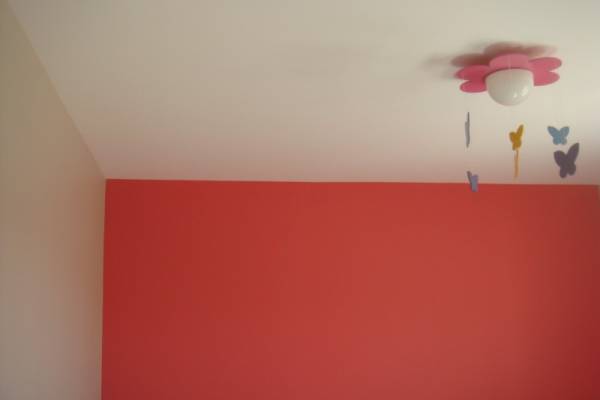 REALISATION DE TRAVAUX DE PEINTURE SUR CADOLIVE